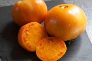 Goldie Tomatoes